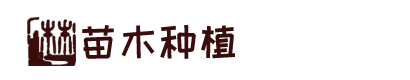 VSport - 胜利因您更精彩